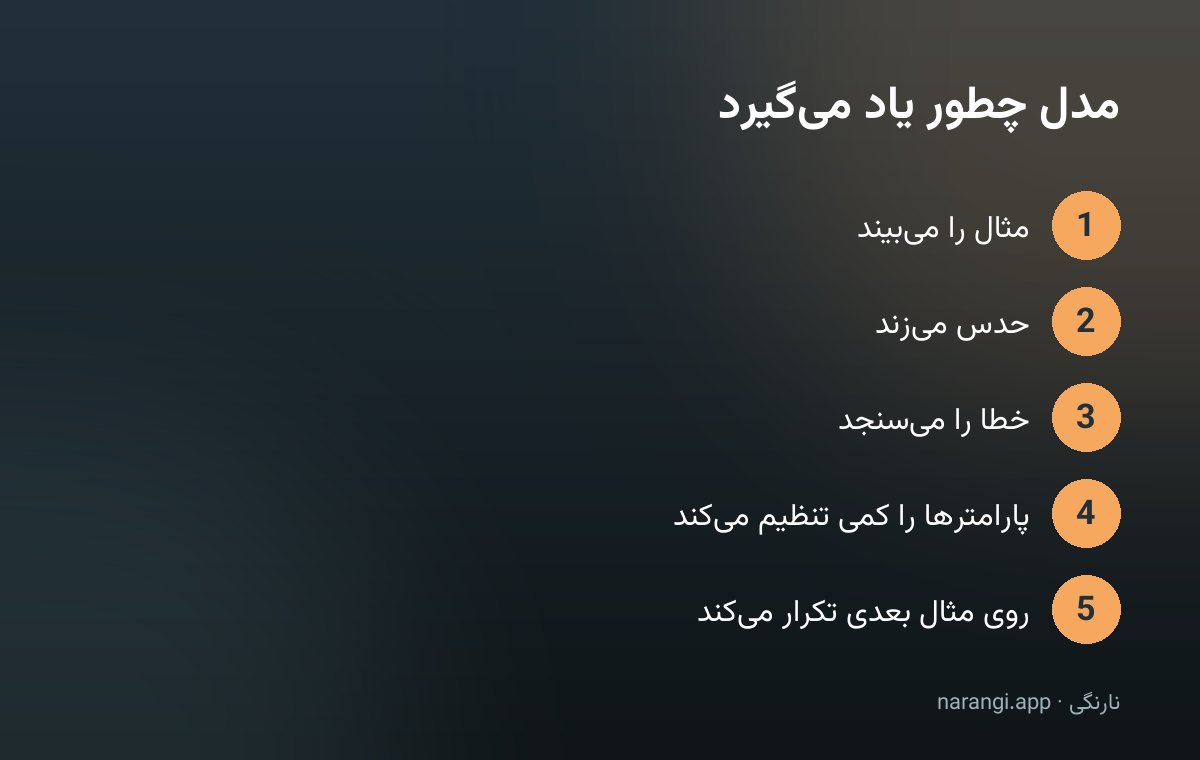 چهار مرحله‌ی یادگیری مدل: دیدن مثال، حدس زدن، سنجیدن خطا و تنظیم پارامترها، که در یک چرخه تکرار می‌شود